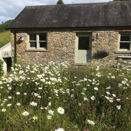 Danygraig Cottage Carmarthen Exterior foto